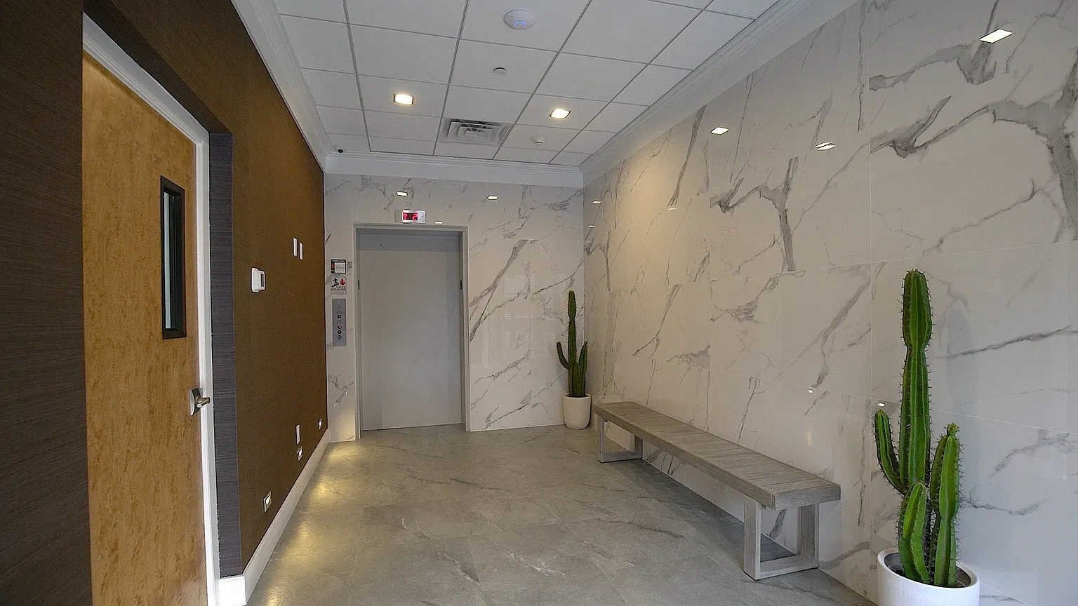 Knox at 100 Polk – photo 4