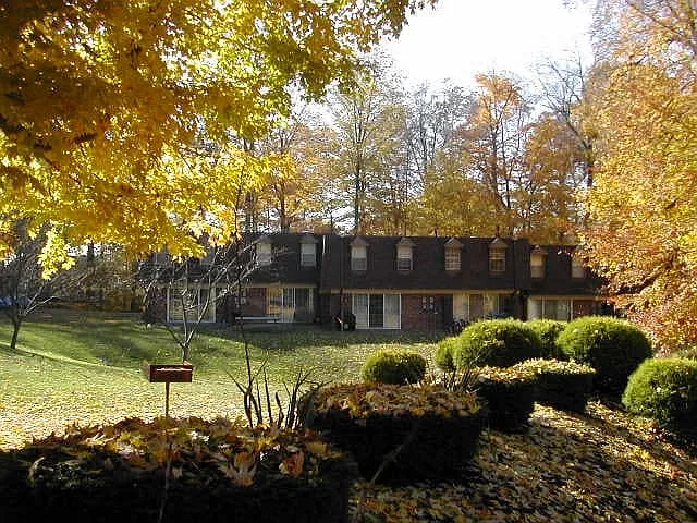 Village in the Woods – photo 5