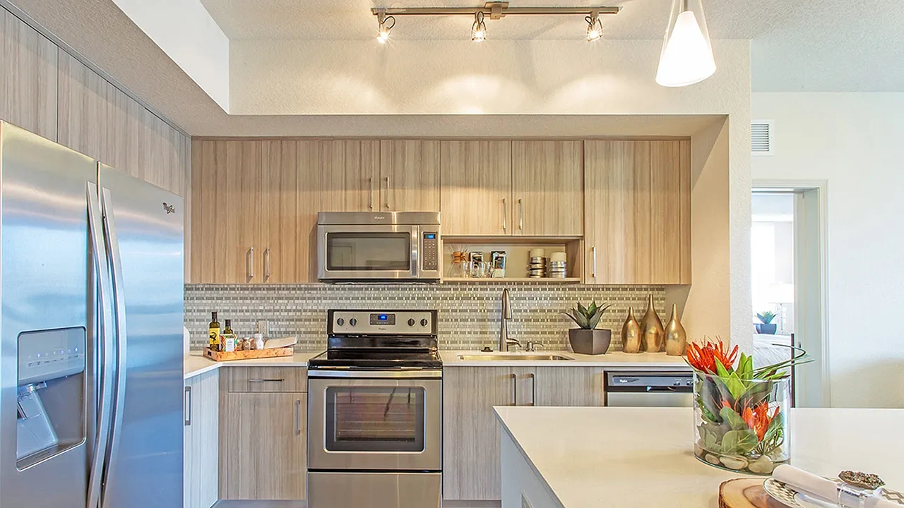 Griffis North Olive – photo 3