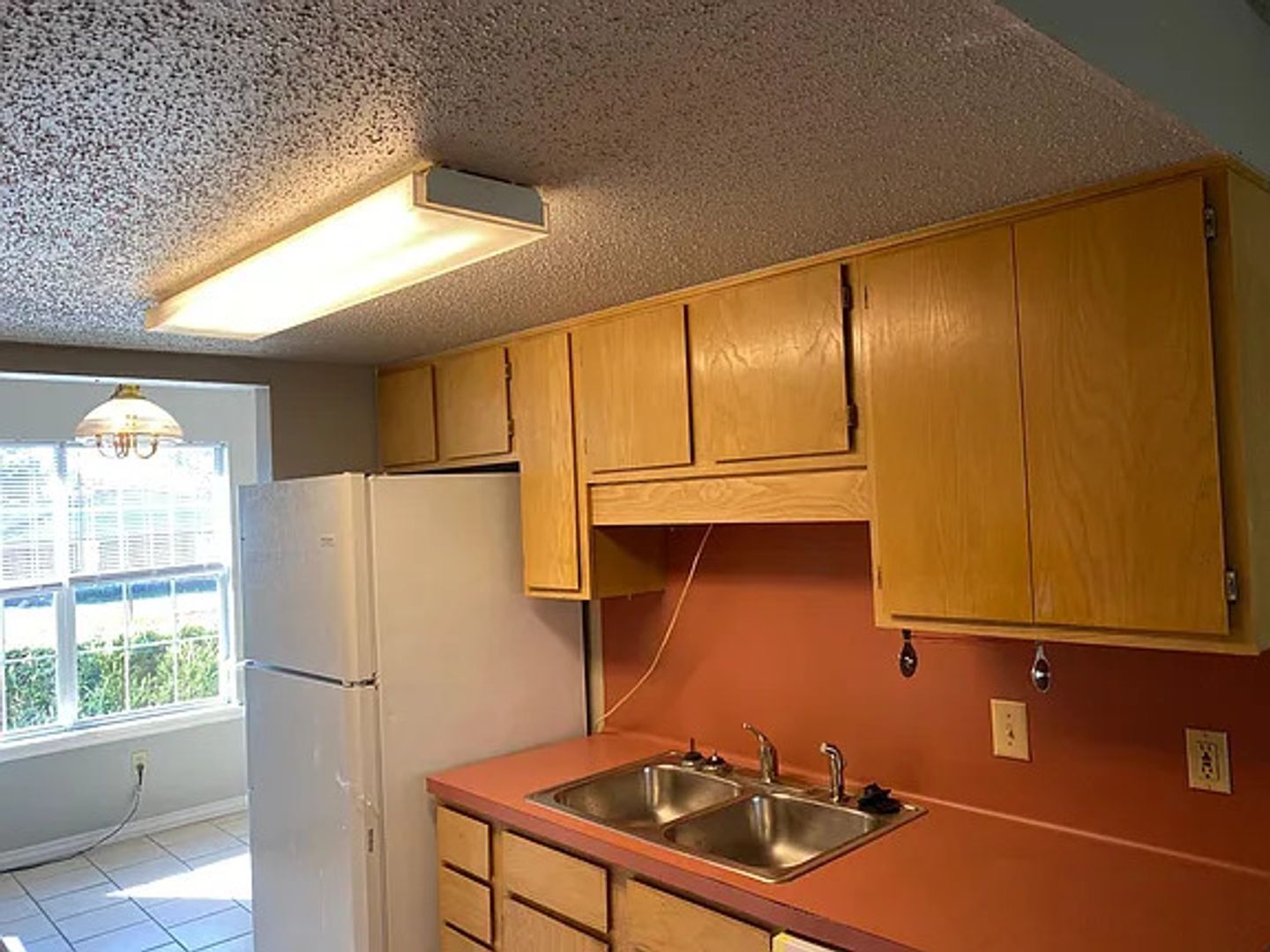 40 Wilma Ave – photo 5
