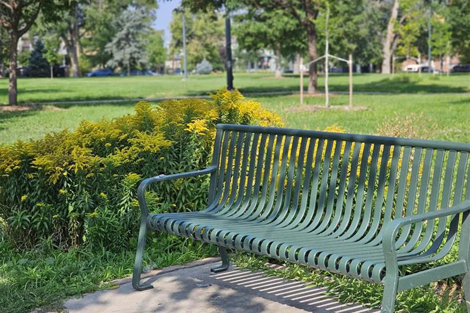 Edmond Curtis Park – photo 2