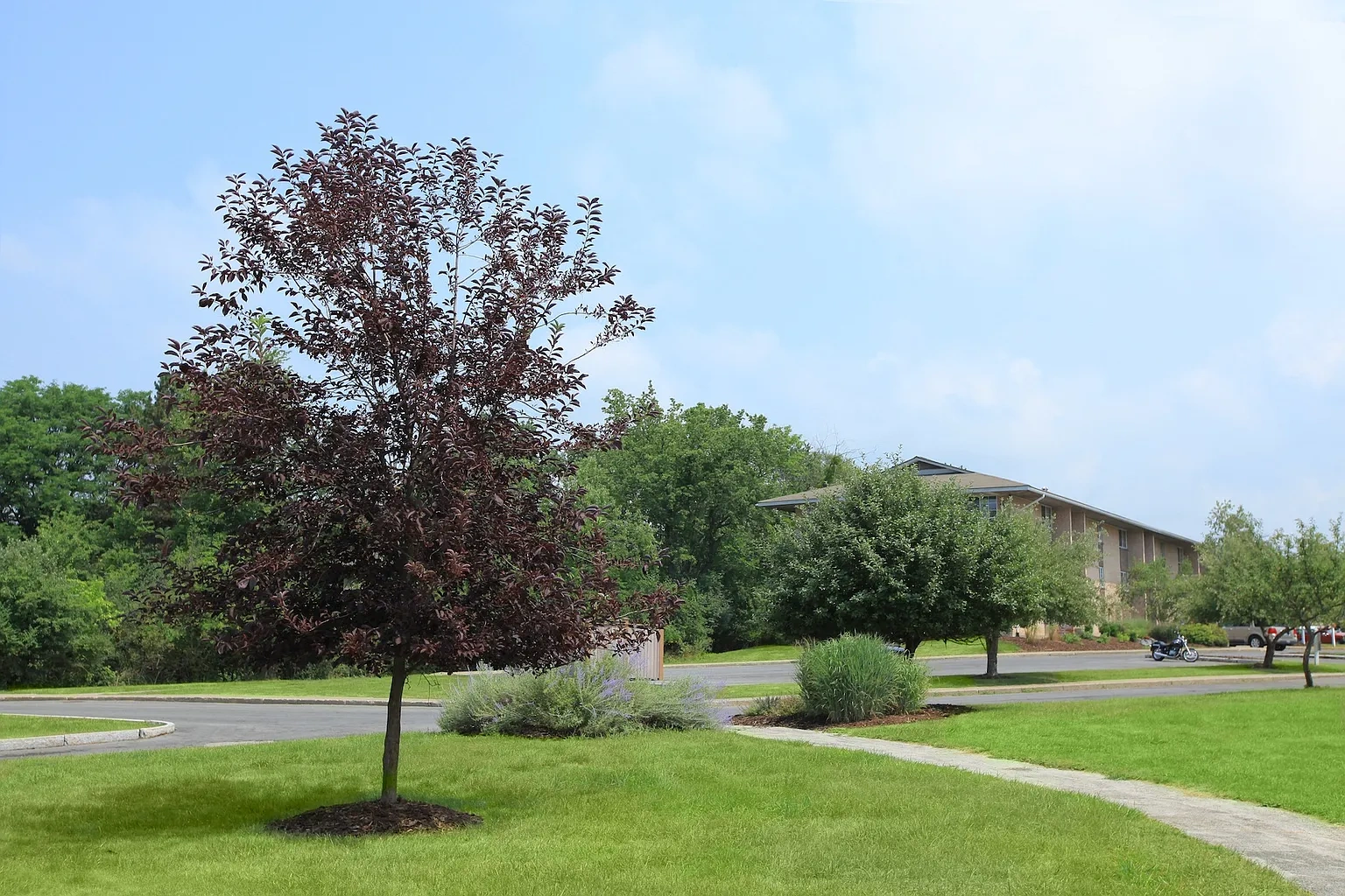 Warren Wood – photo 1