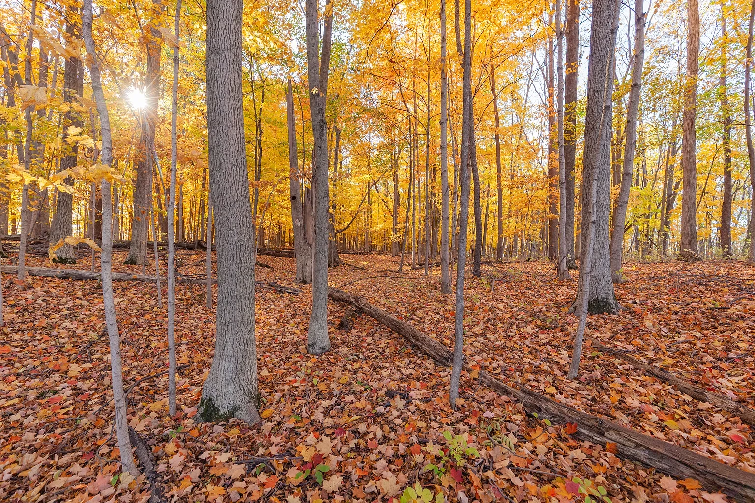 Bradford Trail – photo 2