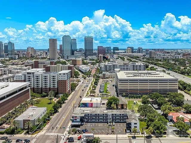 NuMi Living Tampa – photo 4