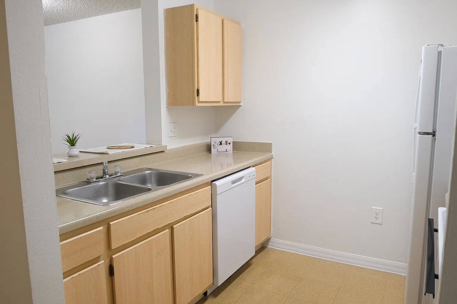 Raintree Apartments – photo 4