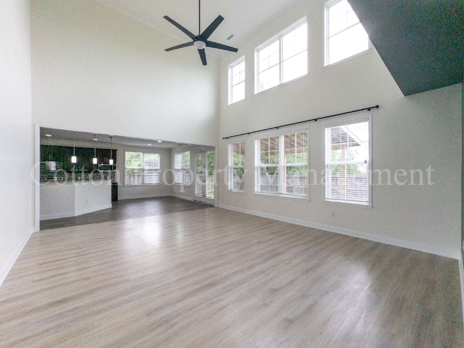 7445 Darius Dr – photo 5