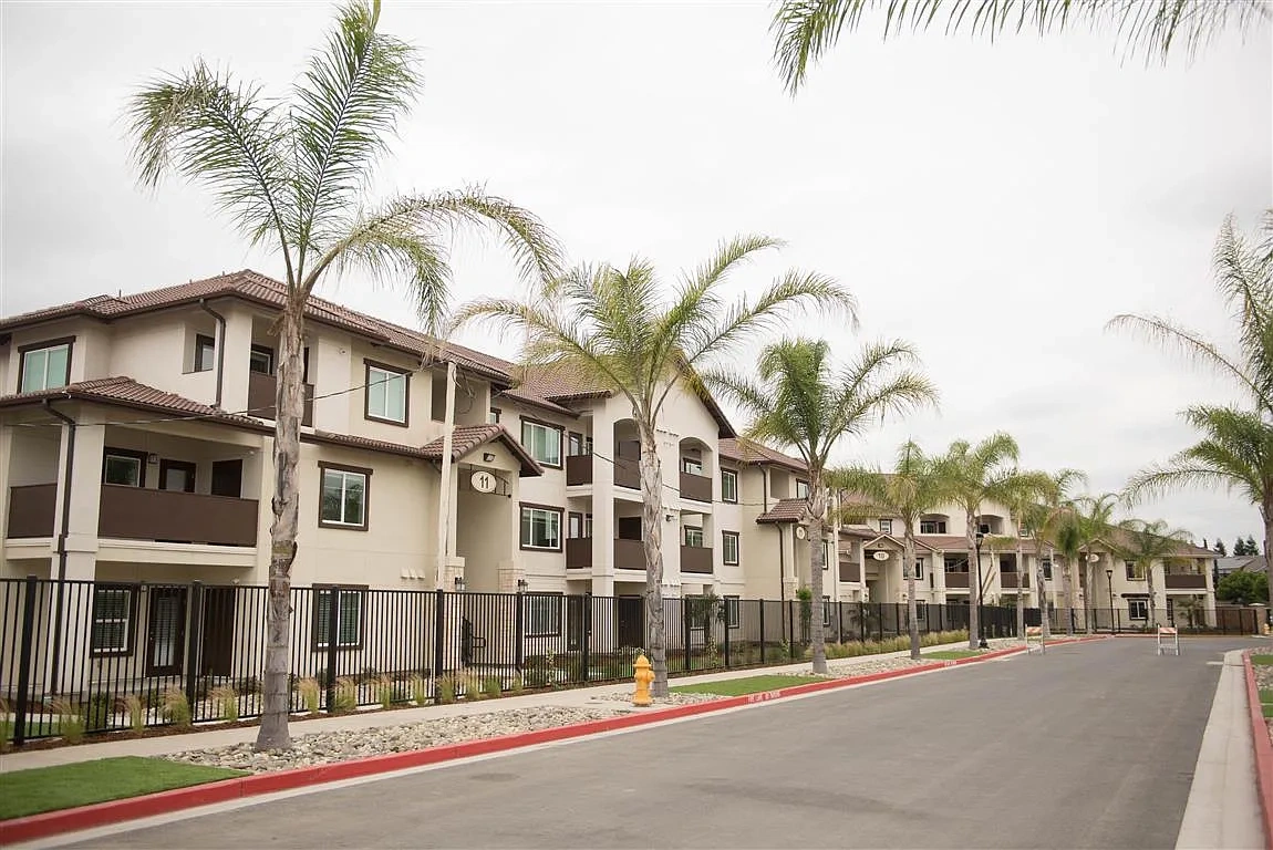 Palms at Morada – photo 4