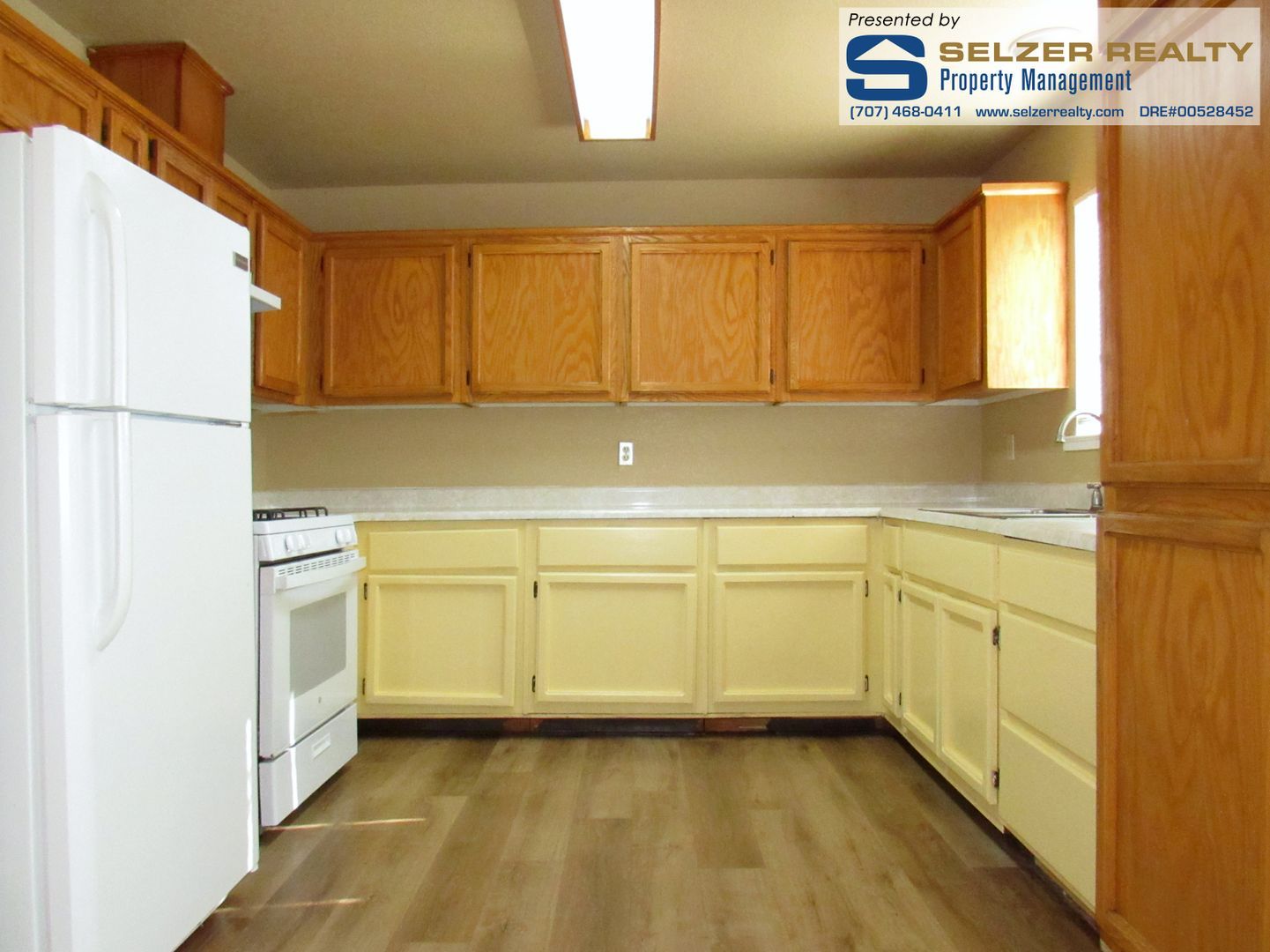11 Olga Pl – photo 5
