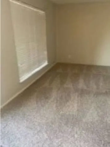 Madeira Apartments – Floor plan