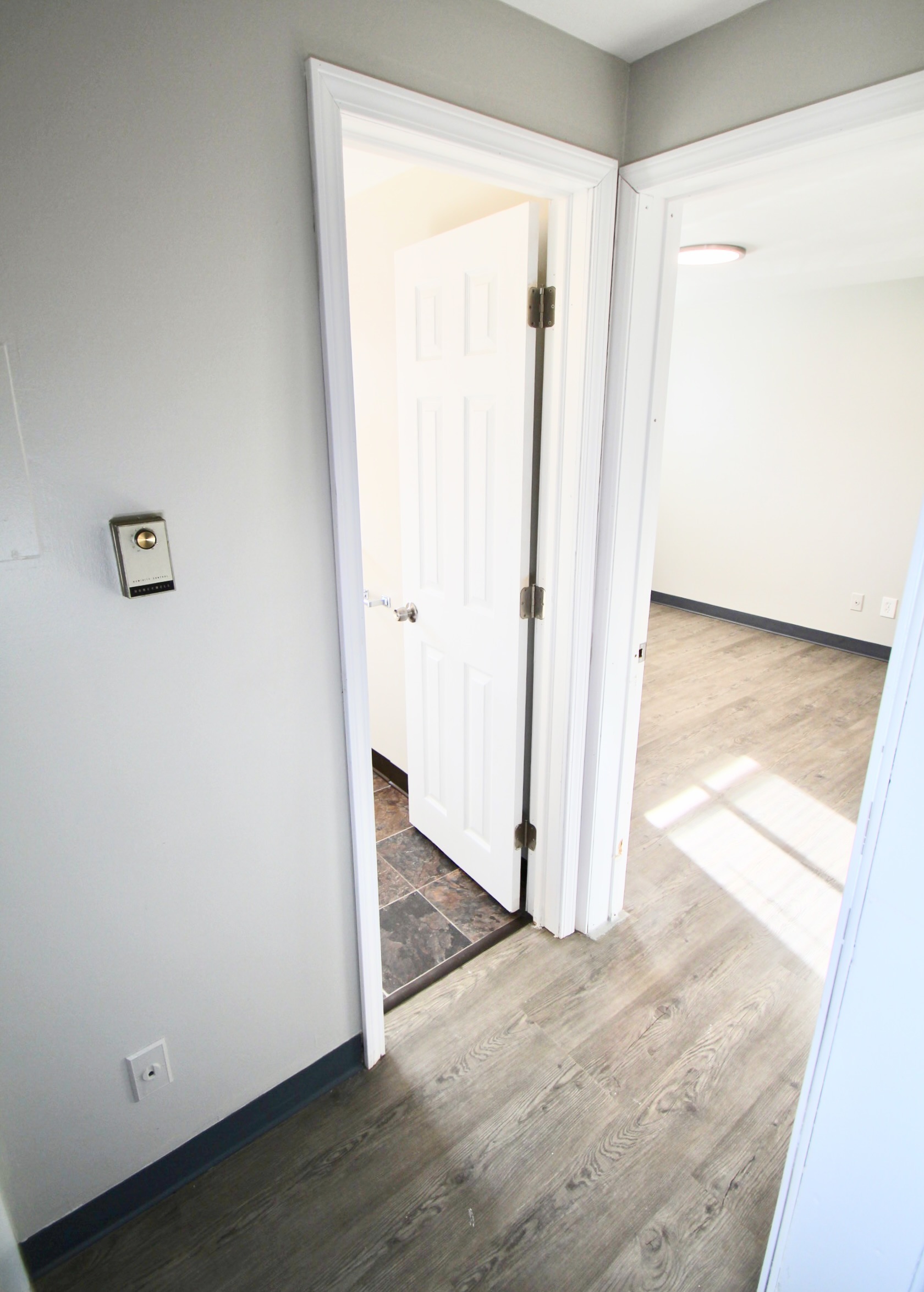 234 Roth St unit 1 – photo 5