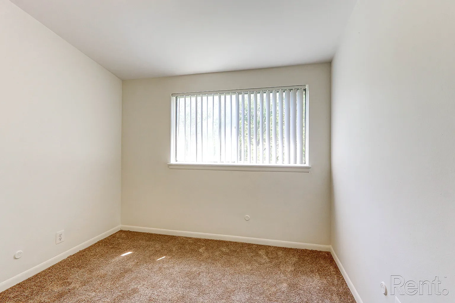 Elmsleigh Apartments – photo 5