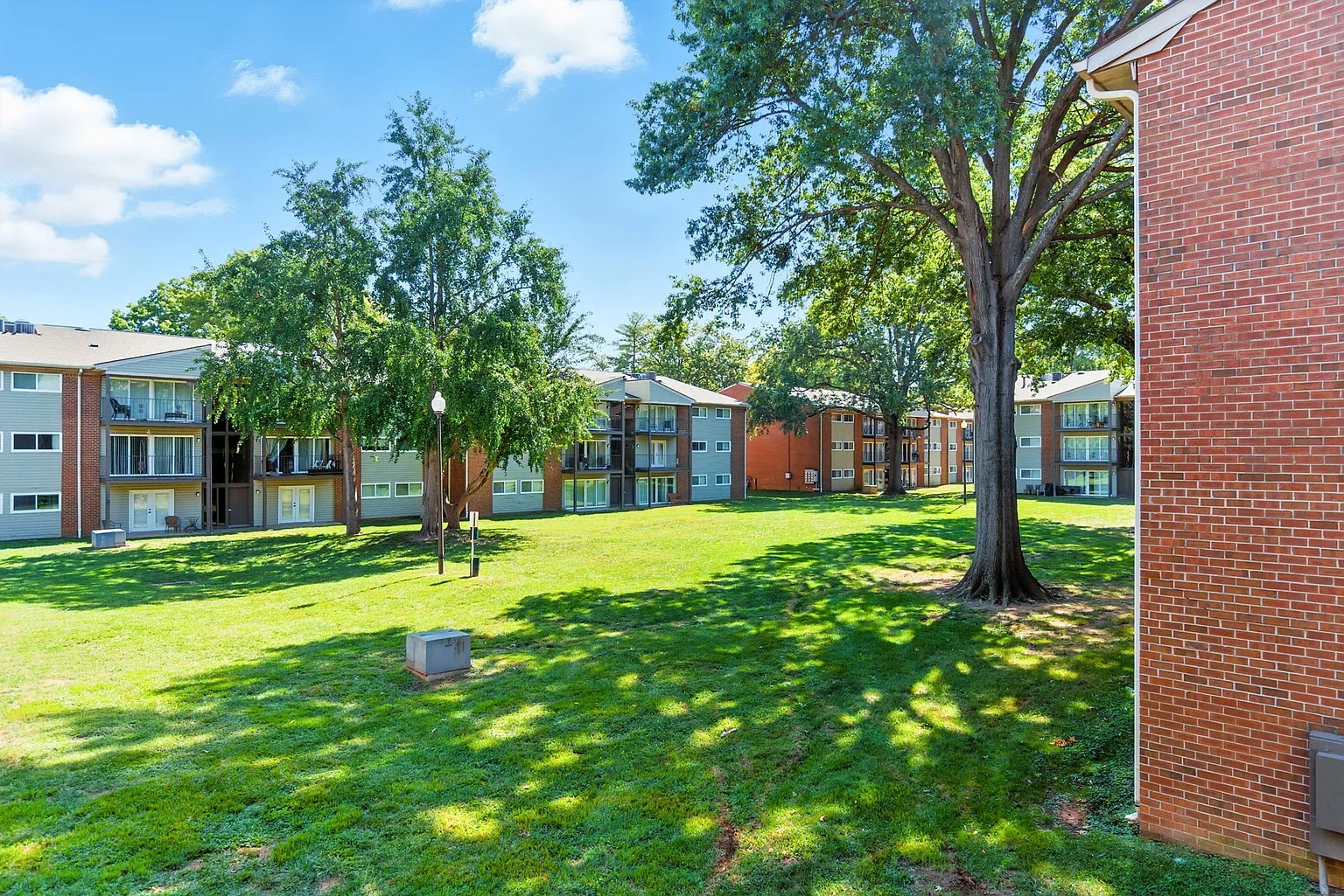 The Rye Apartments – photo 4