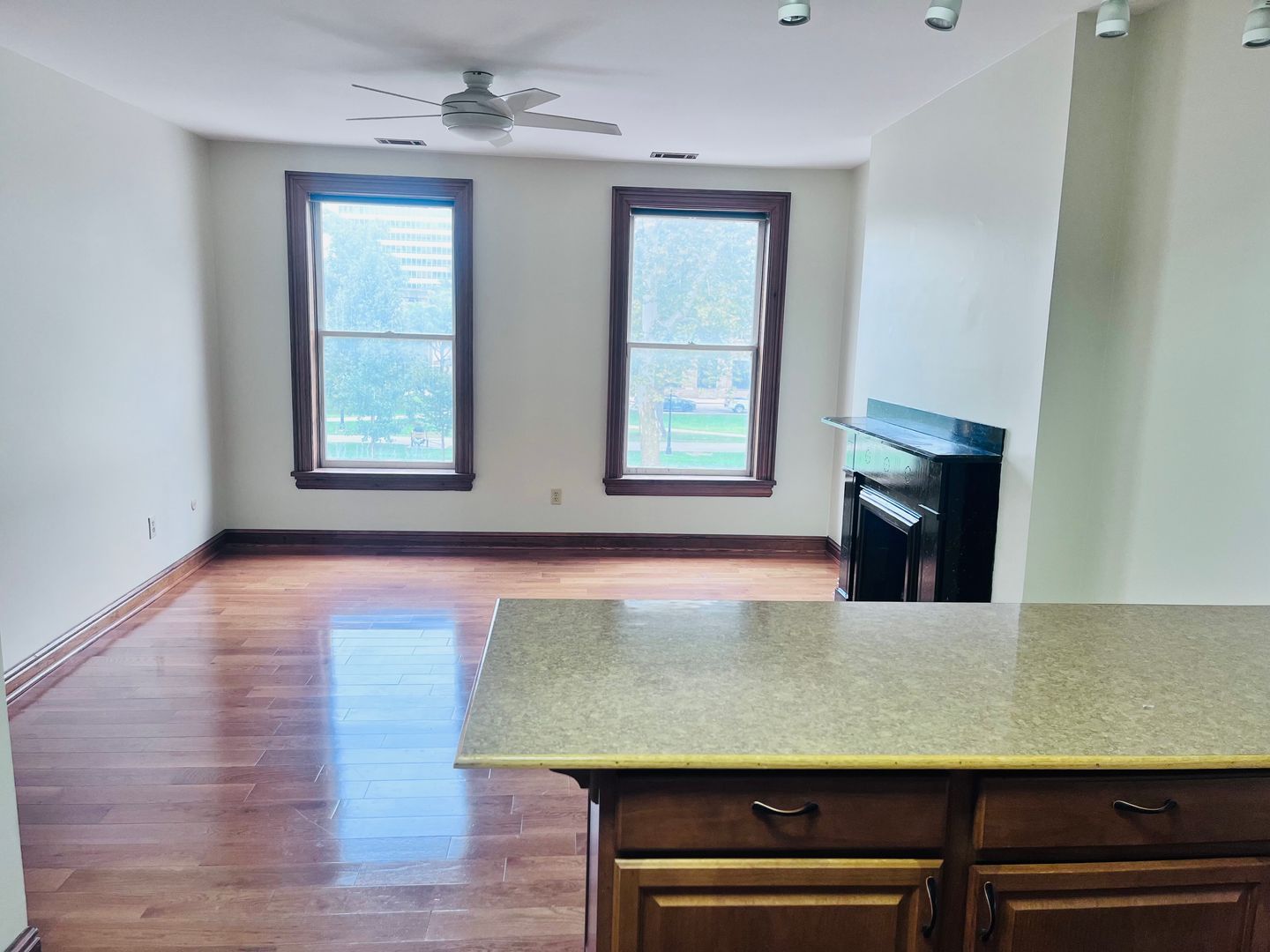 100 E North Ave unit EN 100 - 1 – photo 3