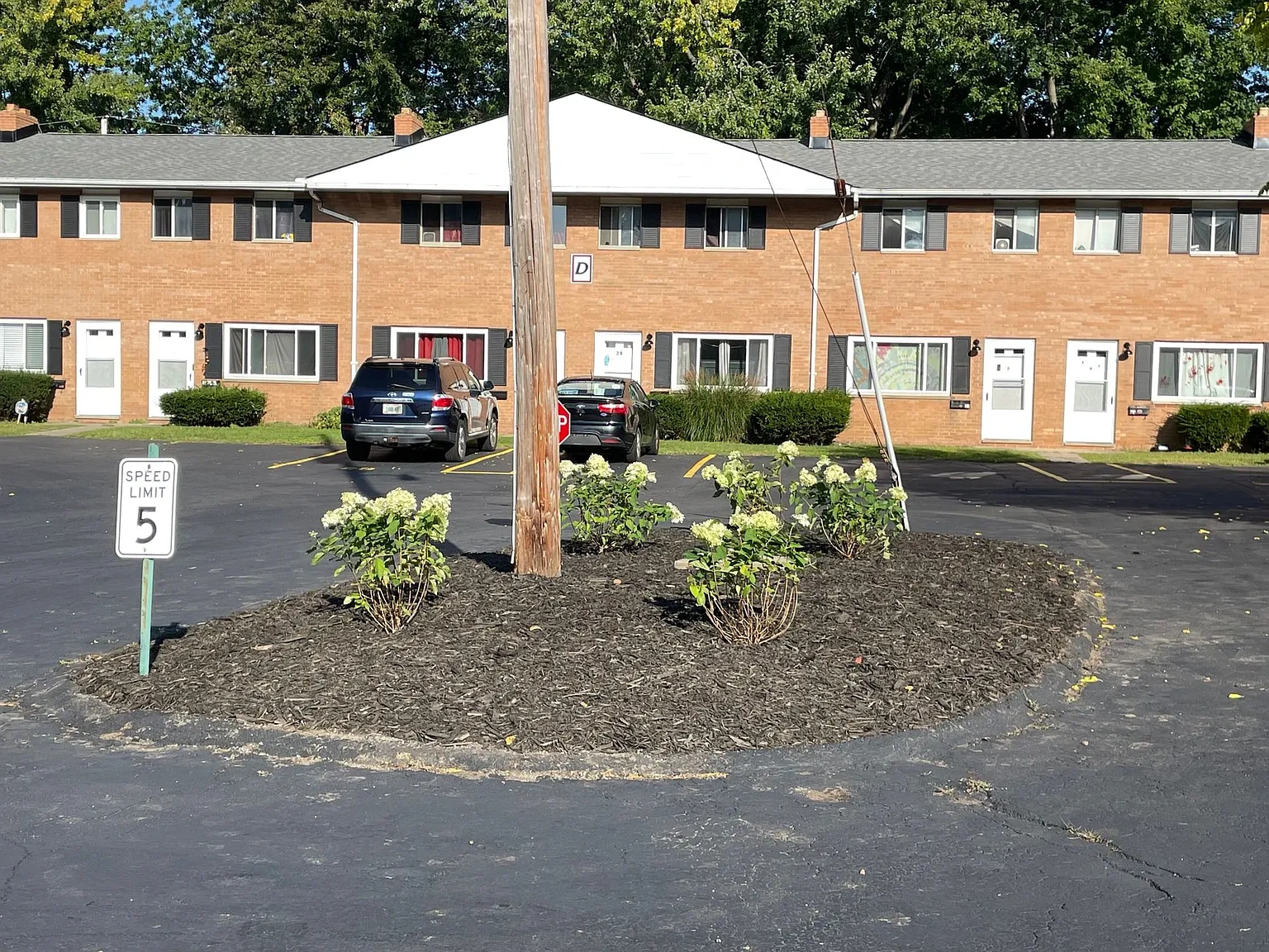 Cottonwood Lane – photo 2