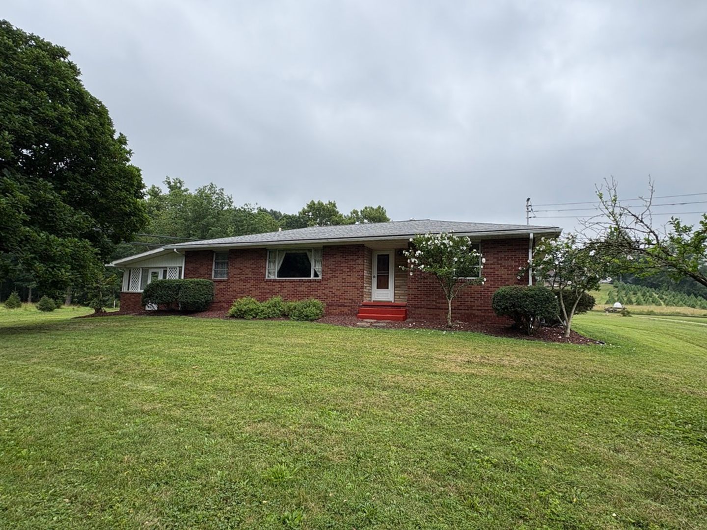 262 Viscose Rd – photo 1