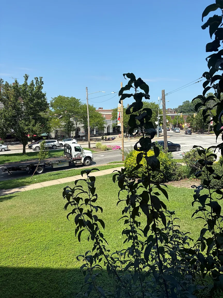 2784 Euclid – photo 2