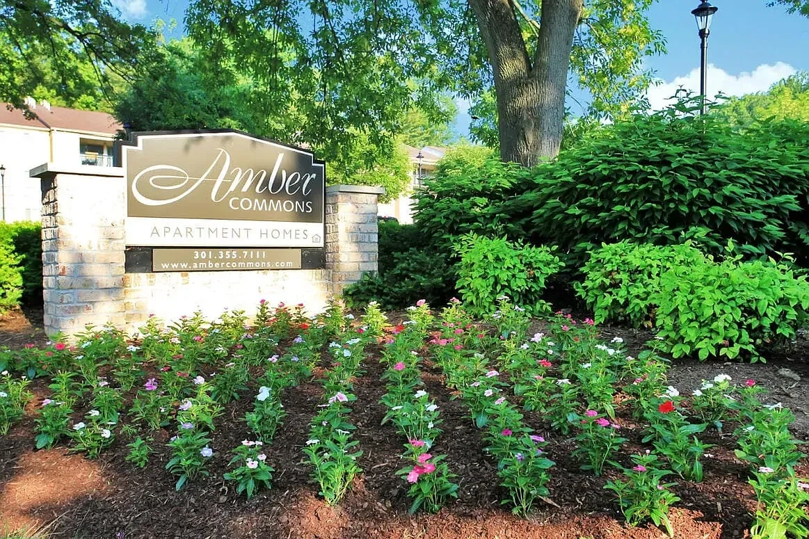 Amber Commons – photo 4