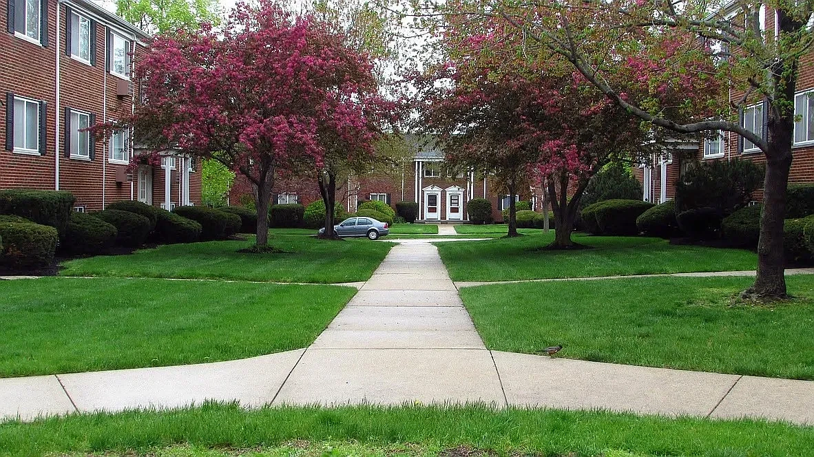 Lawn Village – photo 4