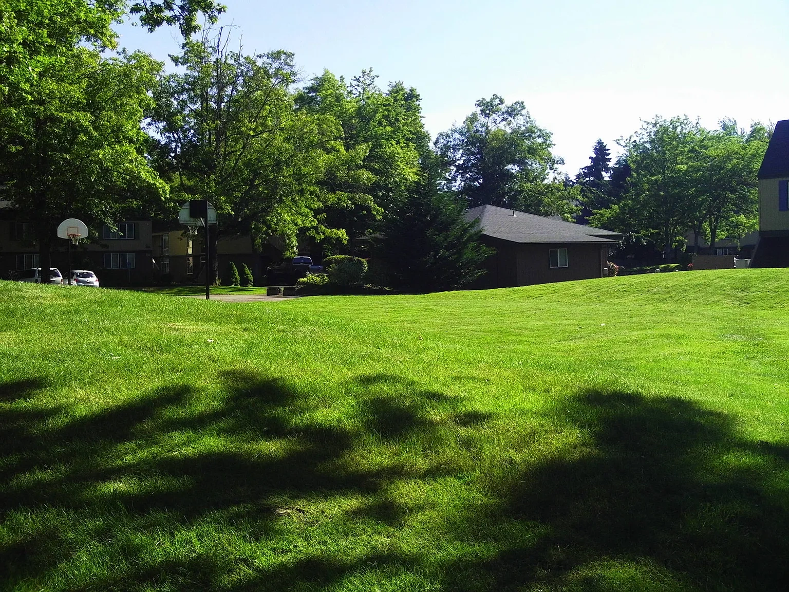 Firwood Village – photo 4