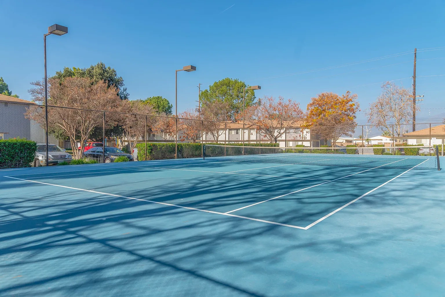Citrus Grove Apartments – photo 4