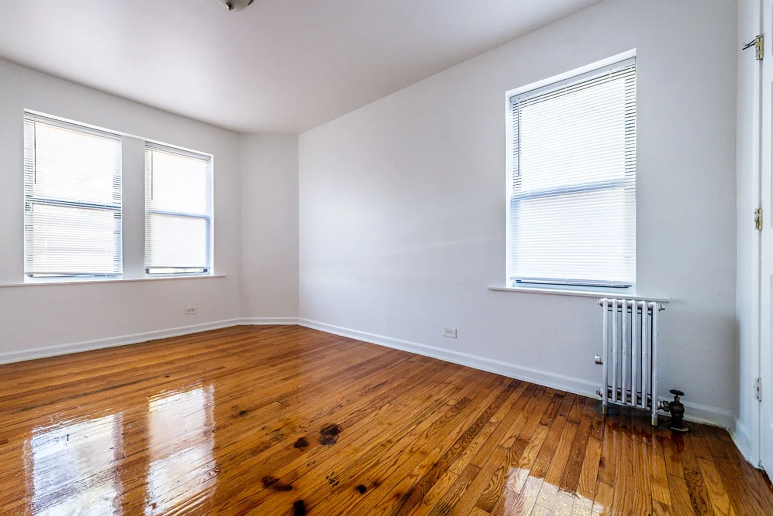 8127 S Ellis – photo 5