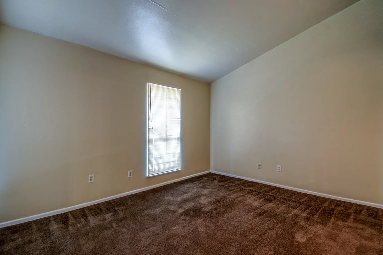 Bay Bluff Apartments – photo 4