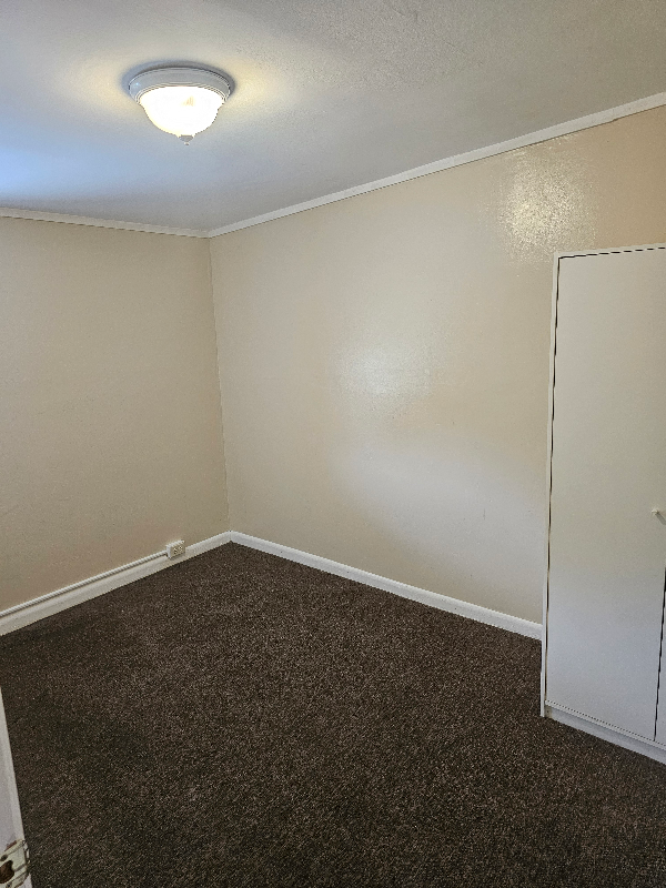 305 Buttonwood St – photo 5