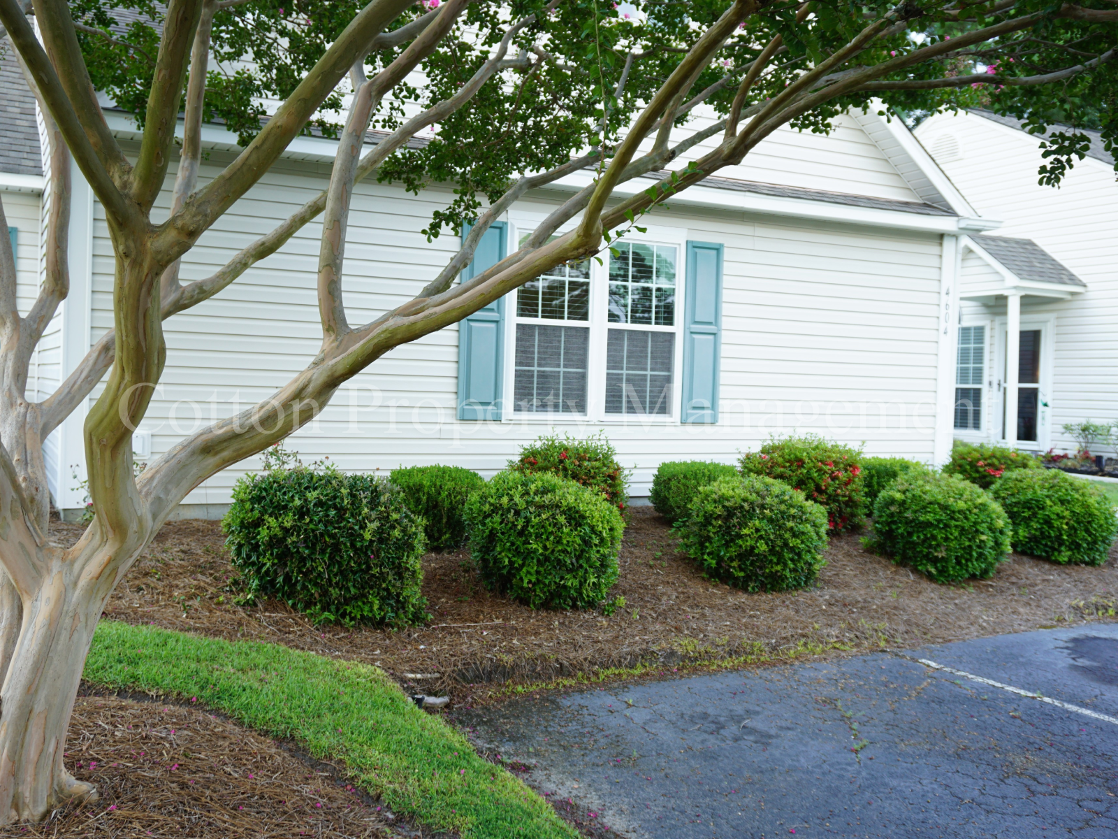 4604 Song Sparrow Ct – photo 3