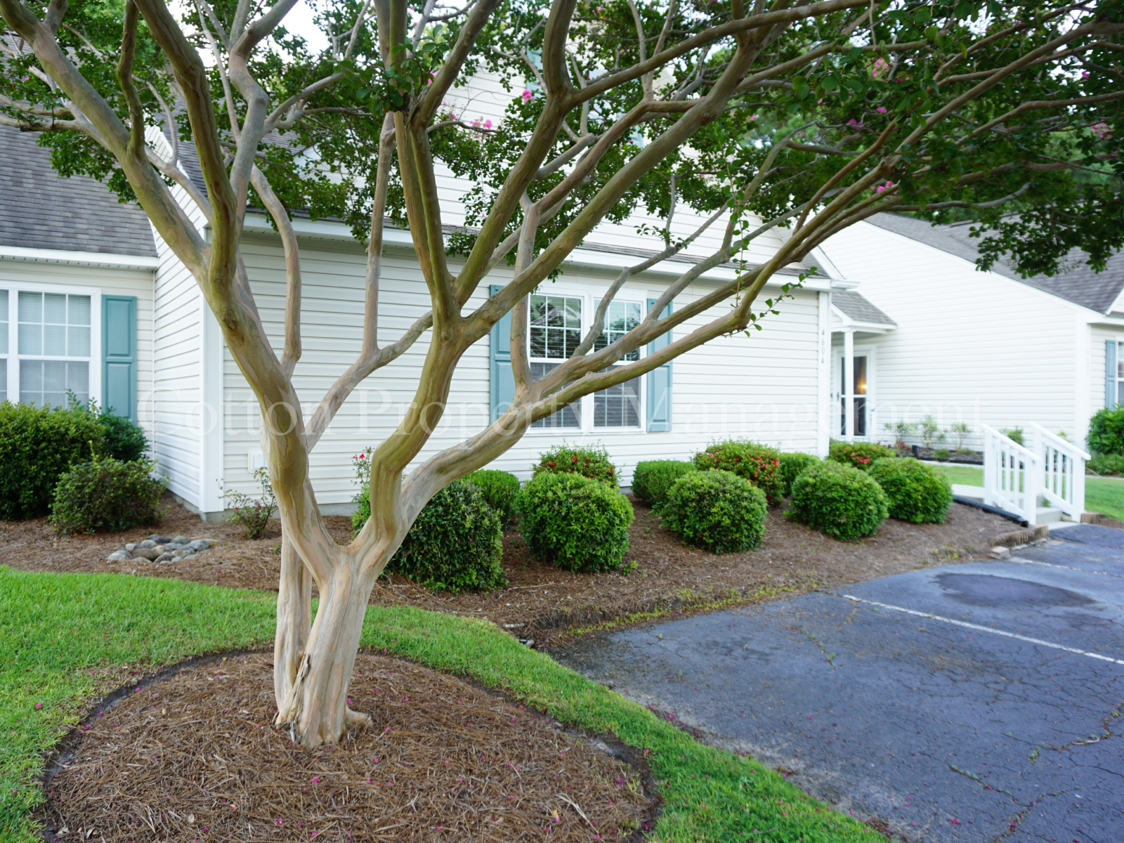 4604 Song Sparrow Ct – photo 1