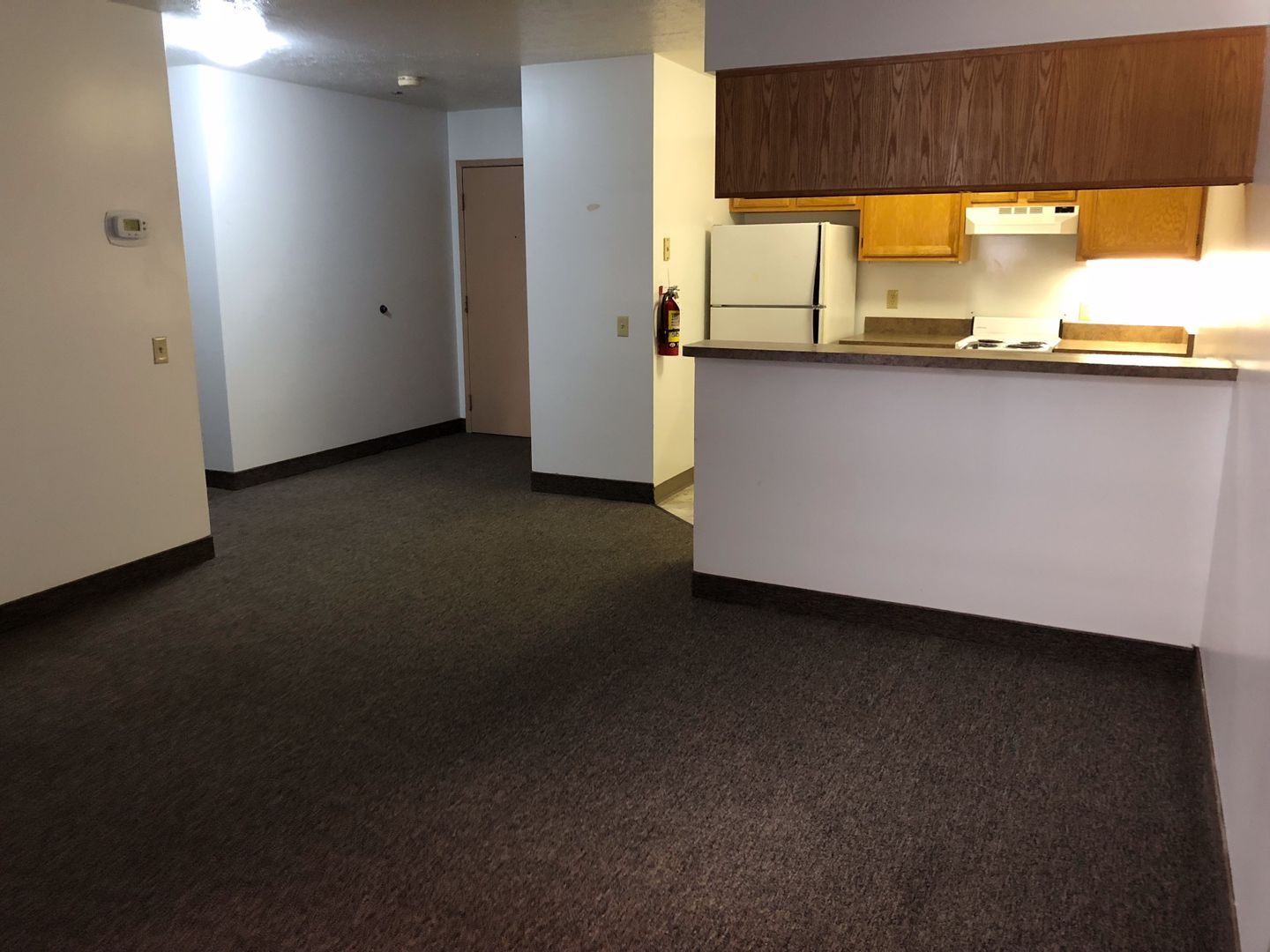 218 Chestnut St unit 212 – photo 1