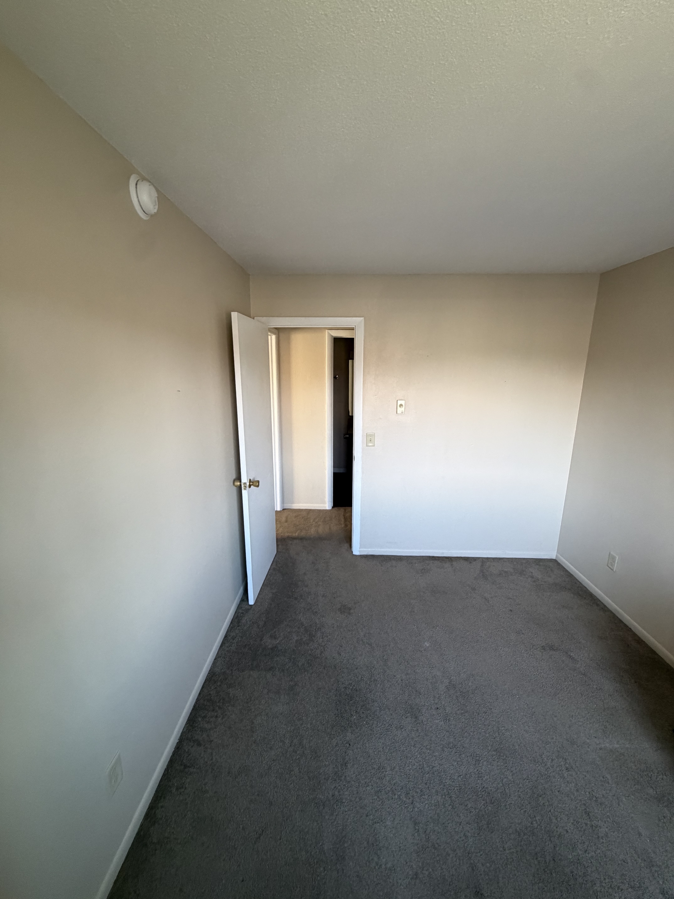 916 S Byrne Rd unit 5 – photo 5