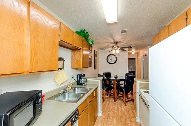 City Pines Apartment Homes – photo 5