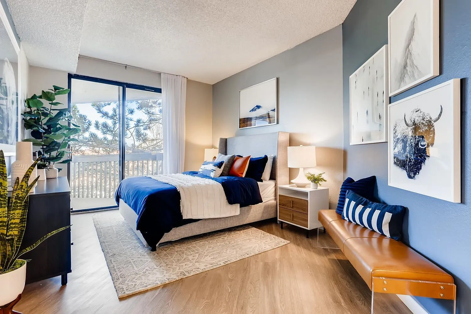 Alta Springs – photo 2