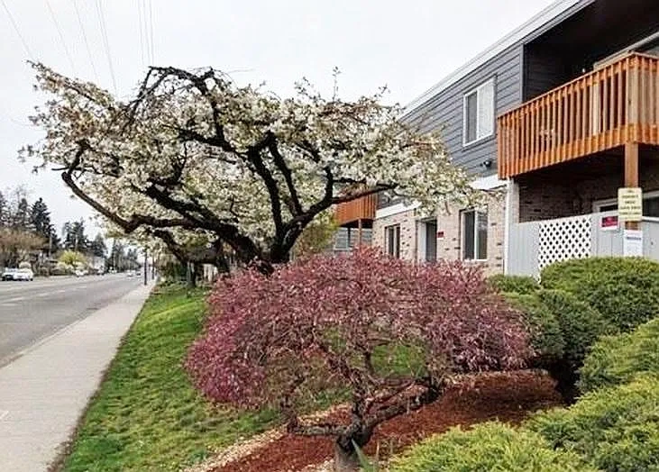 Stark Street Townhomes – photo 5