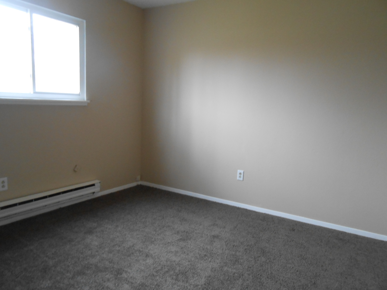 4434 Dunloe Ct – photo 5