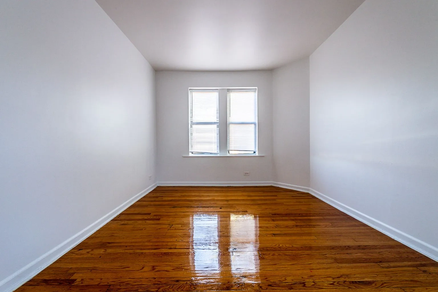 8127 S Ellis – photo 4
