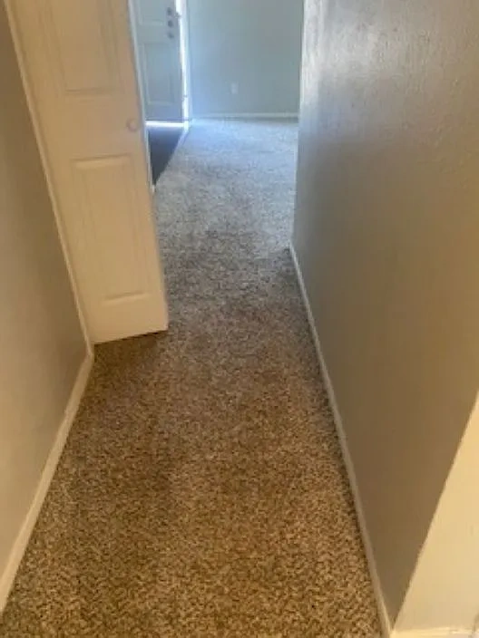 Madeira Apartments – photo 1
