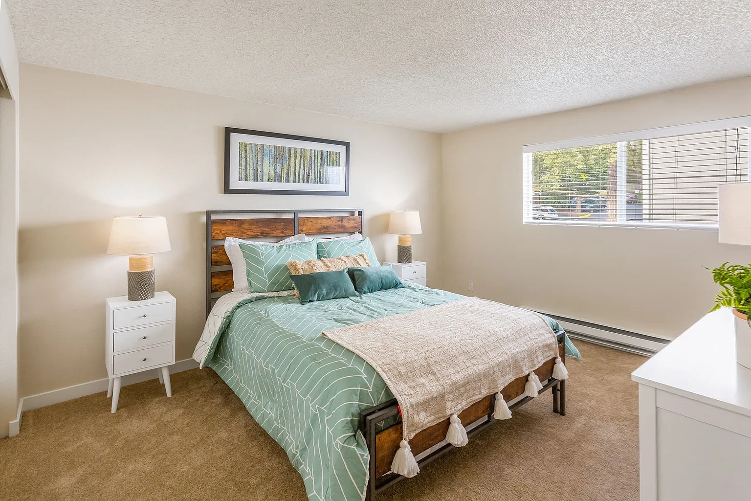 The Timbers – photo 5