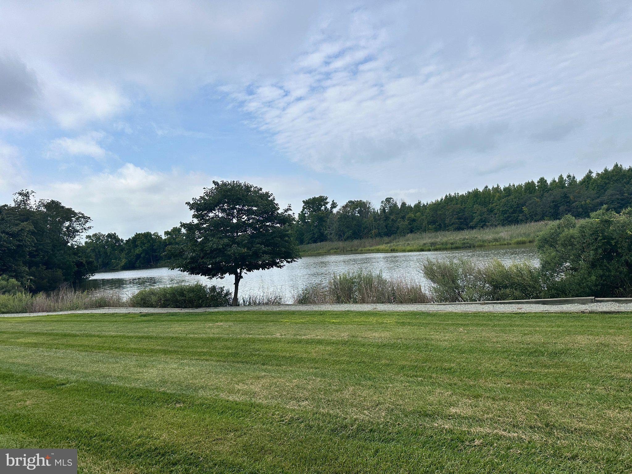 1206 Marion Quimby Dr – photo 2