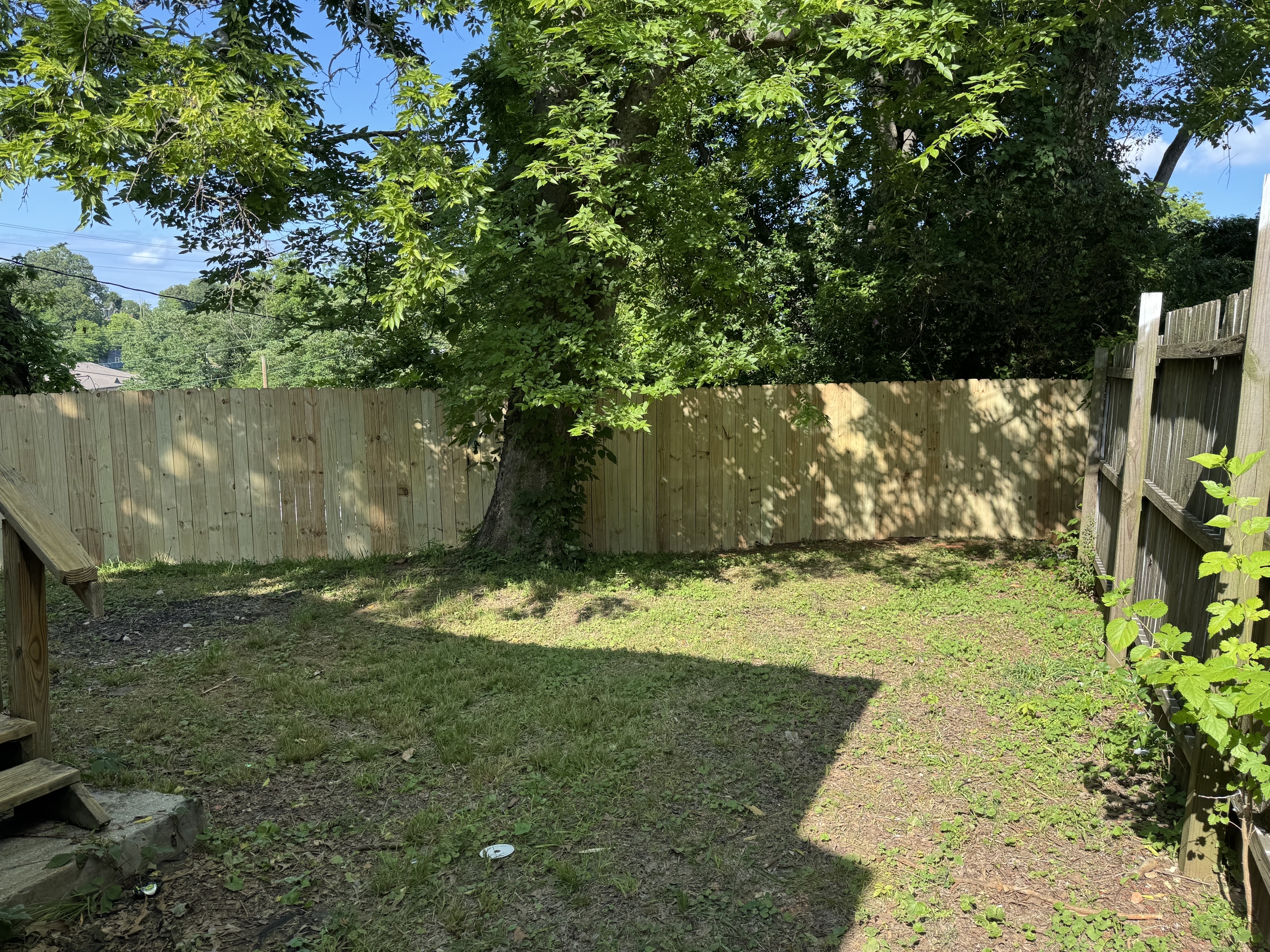 1249 Waverly St – photo 3