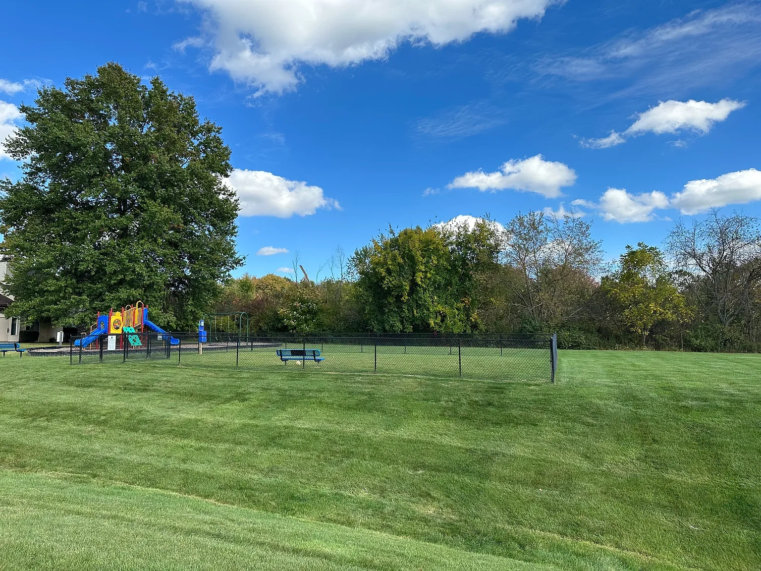 Pine Tree Village – photo 5