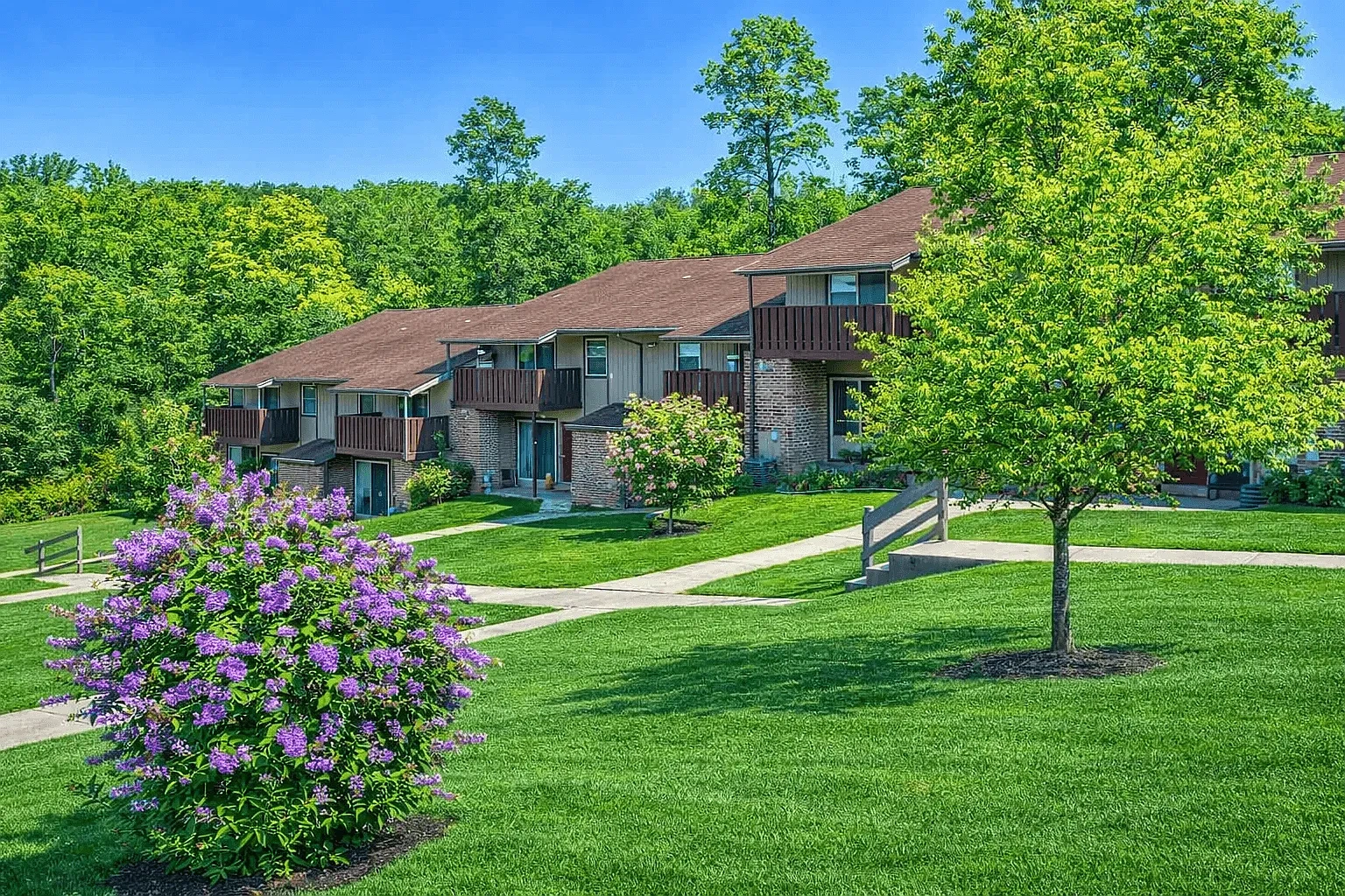 Townhomes at Spring Valley – photo 5