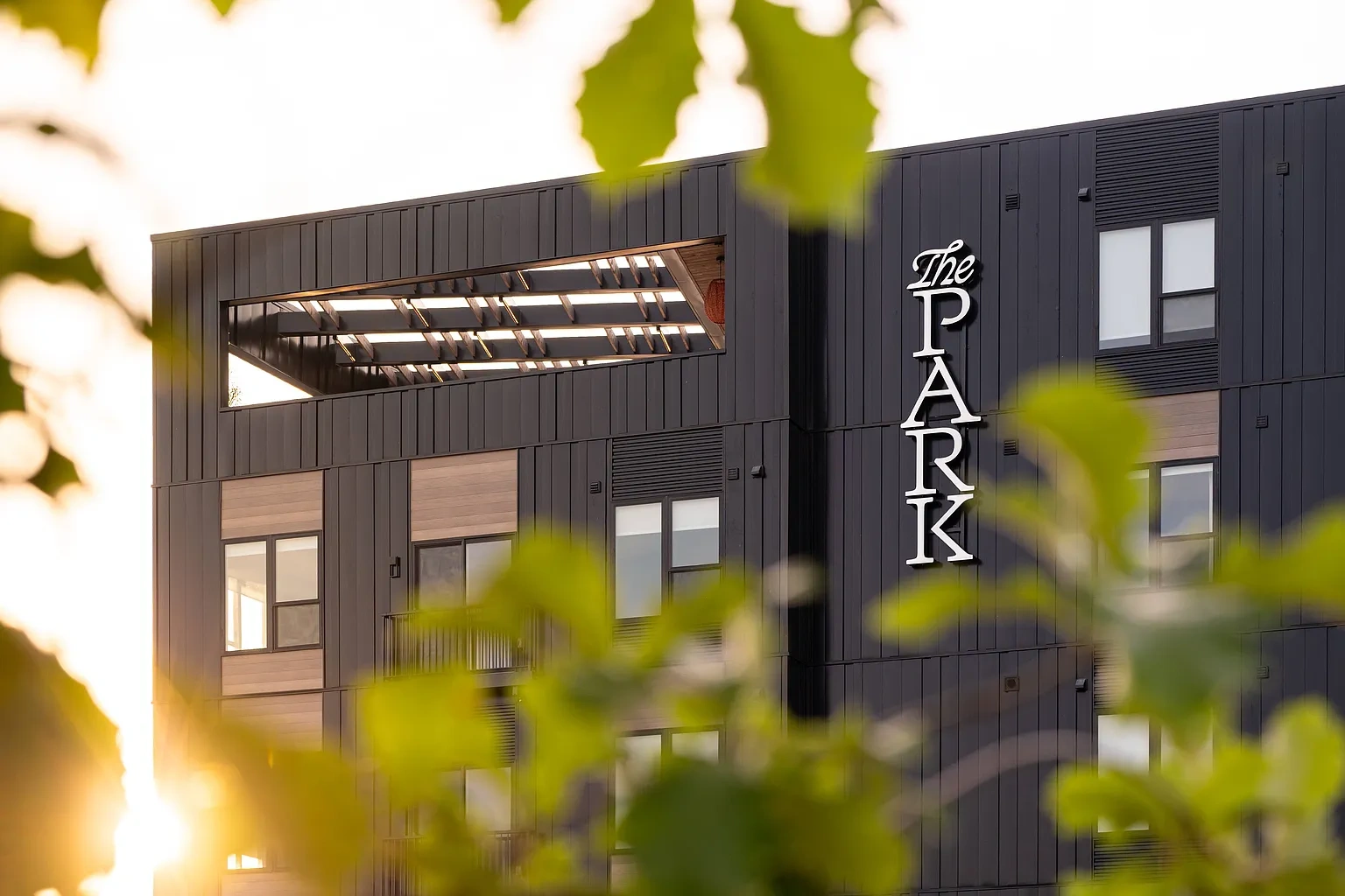 The Park – photo 4