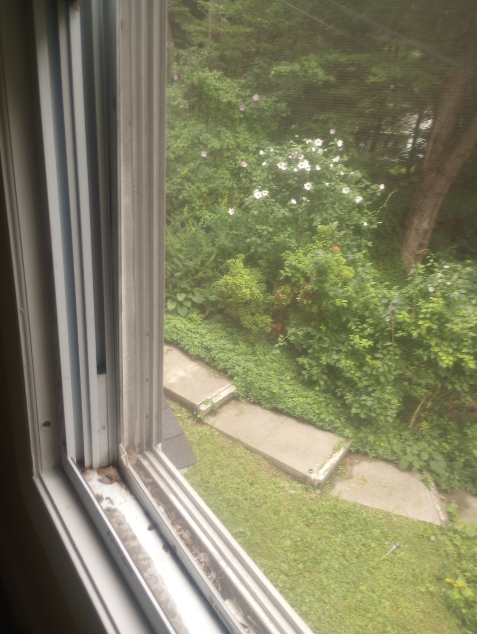50 Sunset Ave – photo 1