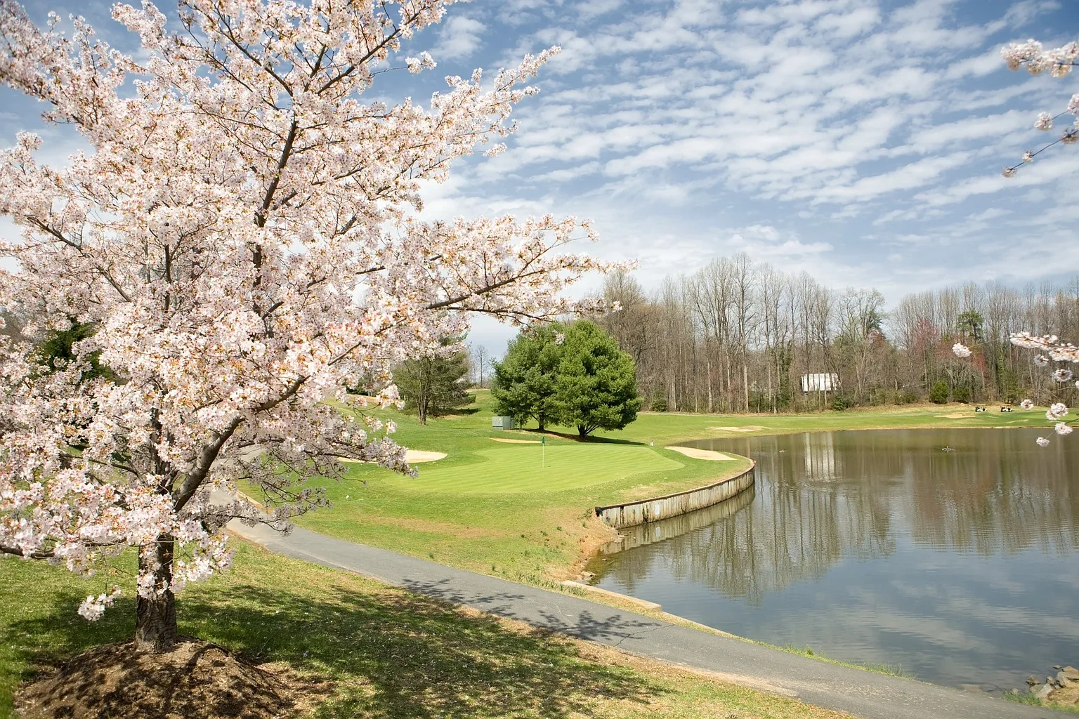 Windsor Kingstowne – photo 5