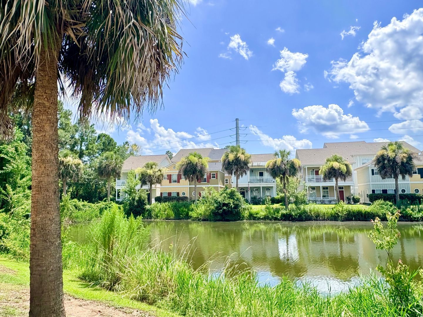 50 Cassandra Ln unit C – photo 1
