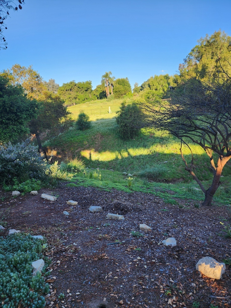 3043 Ridge Creek Dr unit CASI – photo 2