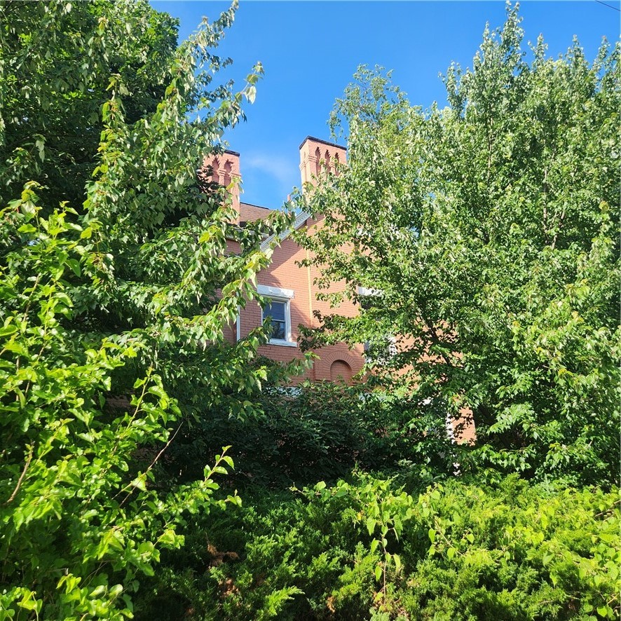 602 Mulberry St unit 3 – photo 5