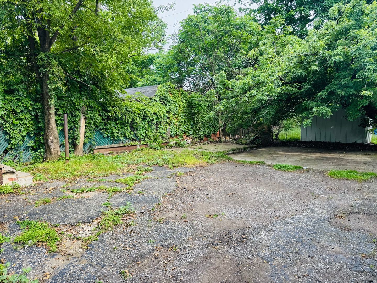 10630 Kimberly Ave – photo 4