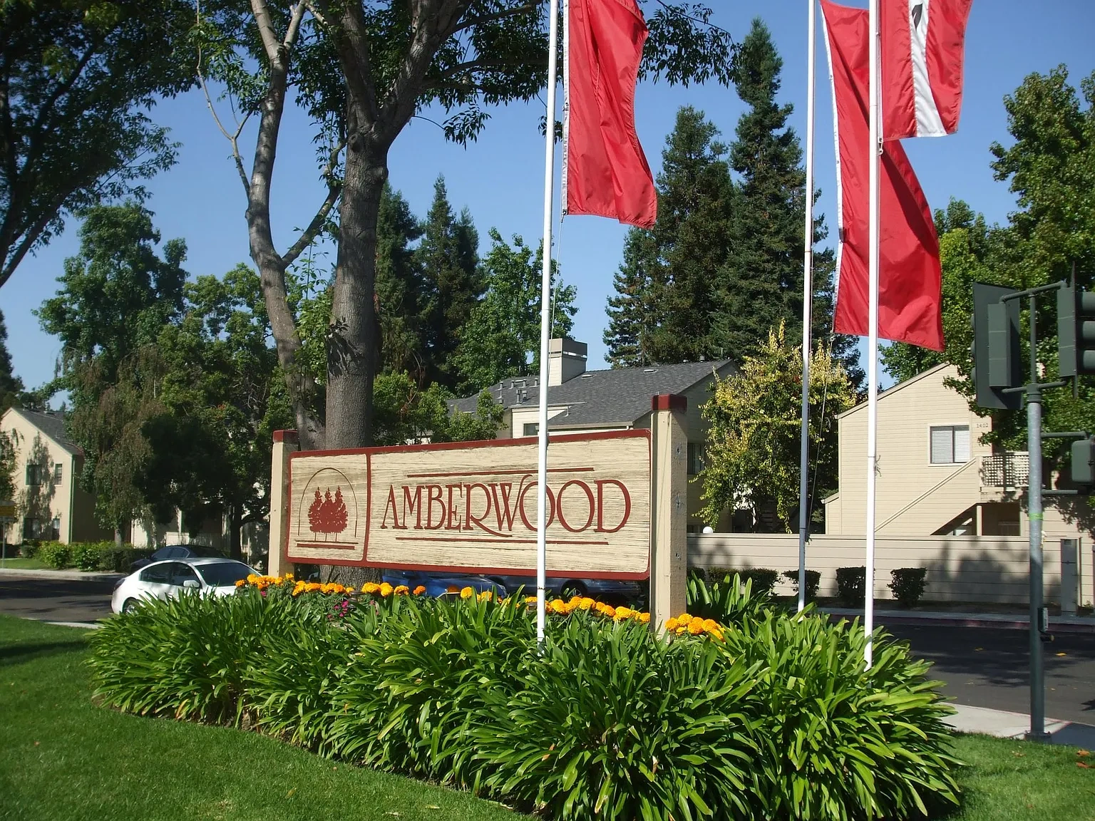 Amberwood – photo 2